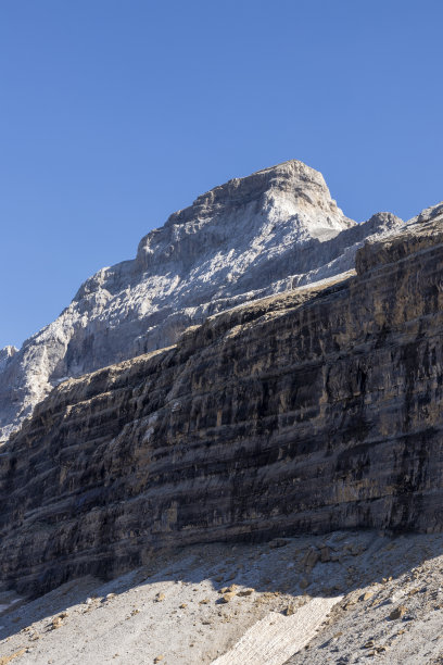 来自法国比利牛斯山加瓦尼马戏团Sarradets避难所的比利牛斯图片下载