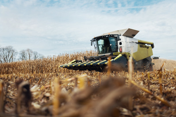 联合收割机收割玉米图片下载