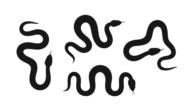 蛇的剪影。孤立的蛇在白色背景图片下载