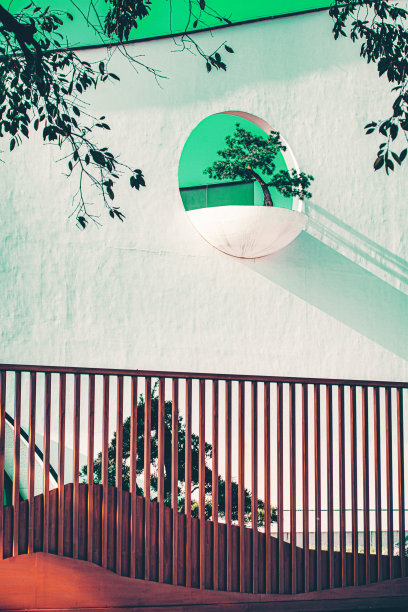 墙上的树亚洲风格公园中国图片下载