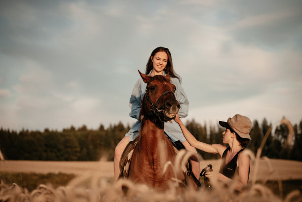 一个女孩牵着一匹马在田野上。日落时分，女人牵着马。与马漫步在金色的田野上图片下载