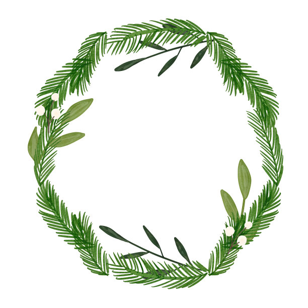 水彩圣诞花环与白色浆果和花卉。手绘水彩插图孤立图片下载