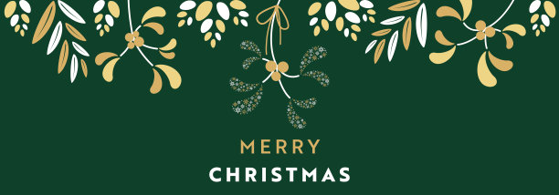 圣诞横幅框架模板雪花制成的槲寄生(绿色)图片下载