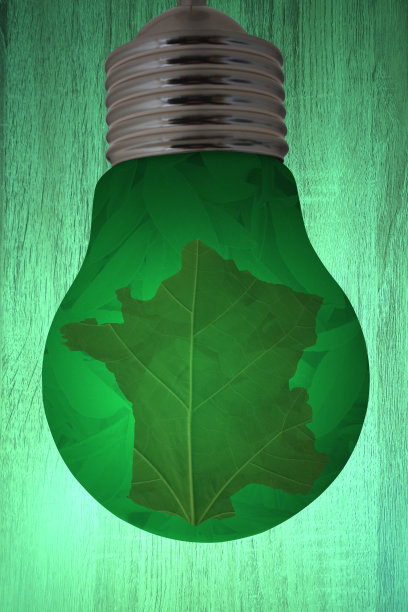 绿色能源灯泡绿色法国图片下载