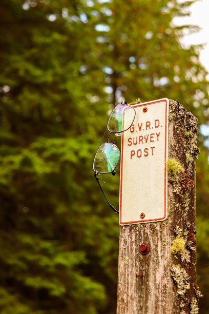 一副眼镜挂在一根杆子的一侧，杆子上写着森林树木前的G.V.R.D调查杆图片下载
