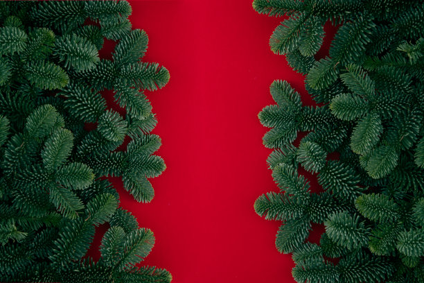 绿色树枝的圣诞树纹理背景图片下载
