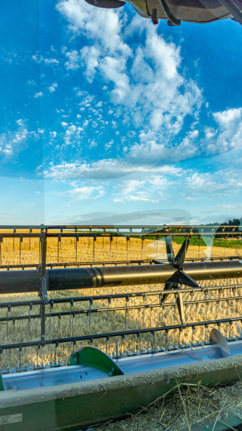 收获季节的农业麦田视图。图片下载