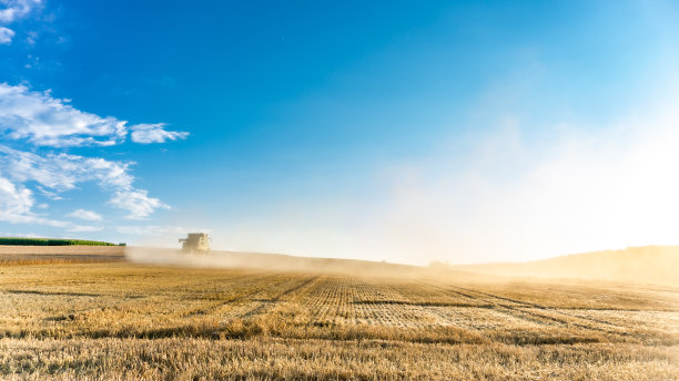 收获季节的农业麦田视图。图片下载