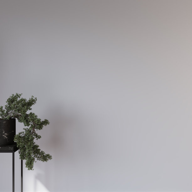 空空白墙模型，框架模型，艺术模型图片下载