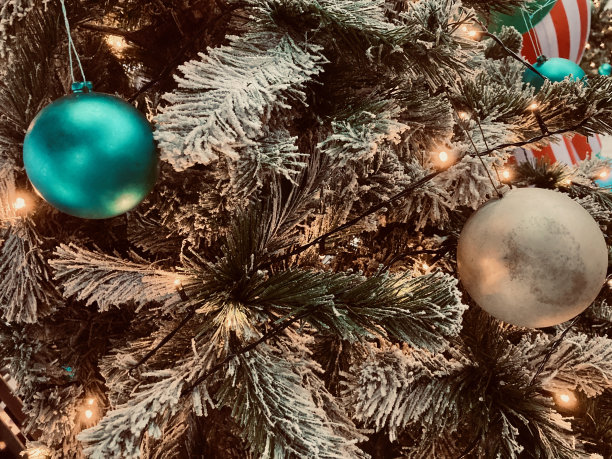 亚洲的一棵圣诞树特写图片下载