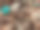 亚洲的一棵圣诞树特写图片下载