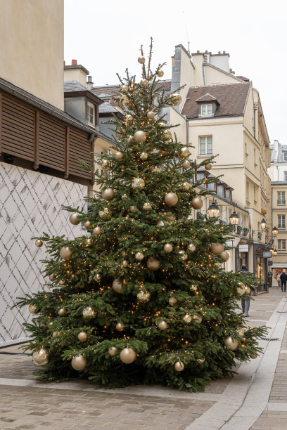 法国巴黎- 12 03 2022:室外的圣诞树和金色装饰图片下载