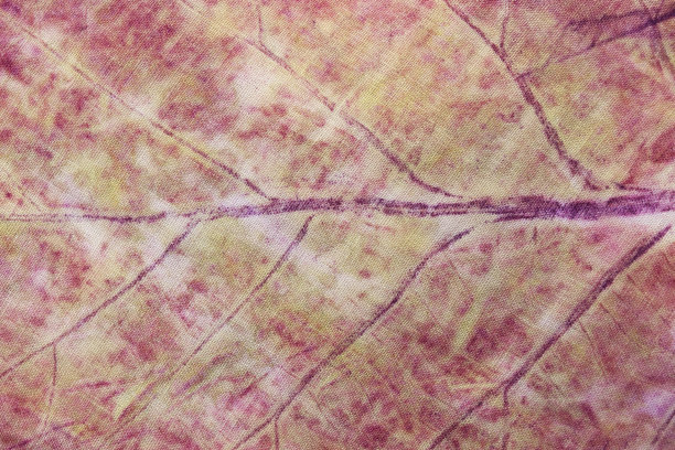 柚木叶的纹理和图案在红色，紫色和黄色的生态印刷工艺。图片下载