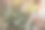 新娘和新郎手持优雅的现代秋季婚礼花束前面的白色婚纱。背景中可以看到新娘和新郎的结婚戒指图片下载
