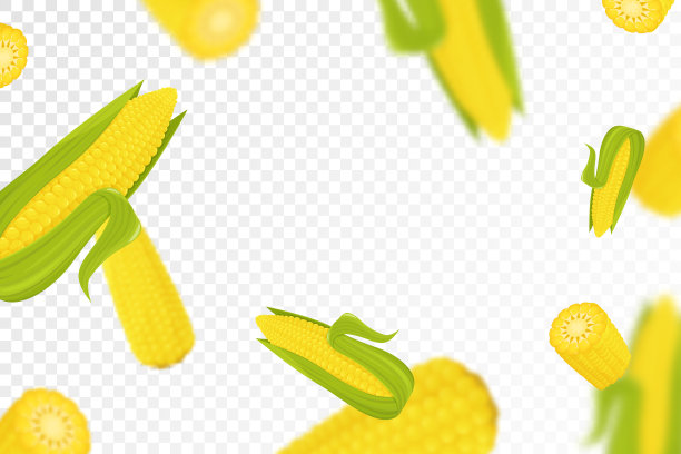玉米背景。透明背景上飞舞的鲜黄成熟玉米。扁平风格设计。掉落的玉米，独立蔬菜。天然产品。矢量图示图片下载