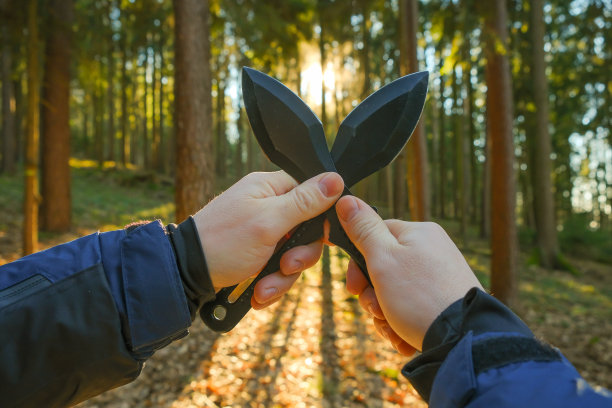 把刀。运动和爱好。金属刀扔在一个杉木森林背景的手。户外运动。森林里的积极运动。图片下载