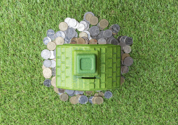 顶视图模拟房子与硬币在草地地板。图片下载