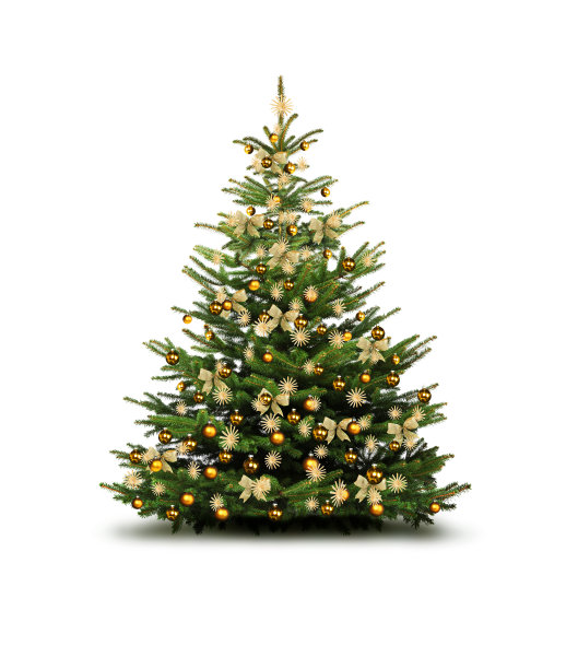 圣诞树上点缀着金色的蝴蝶结图片下载