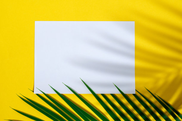 时髦的夏季布局，白色空白卡和棕榈叶阴影黄色背景。平躺图片下载