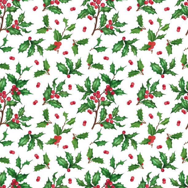 手绘水彩冬青枝无缝图案在白色背景。圣诞和新年的象征，装饰元素。剪贴簿，海报，纺织品，横幅，明信片。图片下载