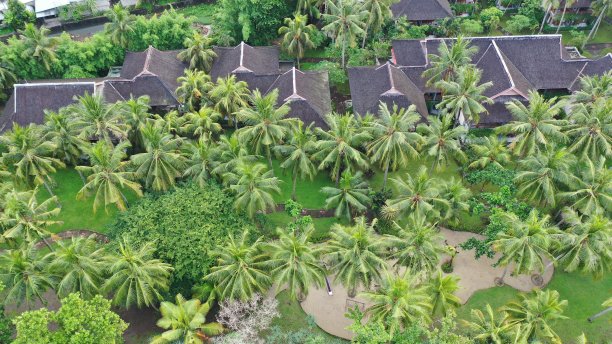 鸟瞰其中一家美丽的旅馆图片下载