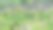 鸟瞰其中一家美丽的旅馆图片下载