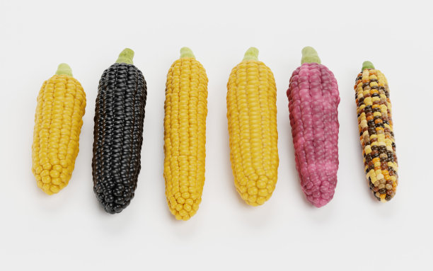 现实的3D渲染玉米集合图片下载