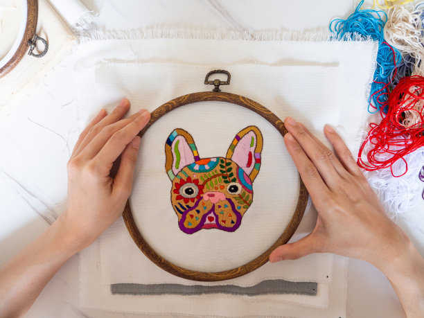 法国斗牛犬糖头骨法国斗牛犬动物日死者插图设计手工刺绣手工工艺爱好图案超现实的面孔抽象艺术色彩针线活彩色线织物织物织物图片下载