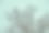 光秃秃的树枝映衬着冬日的天空图片下载