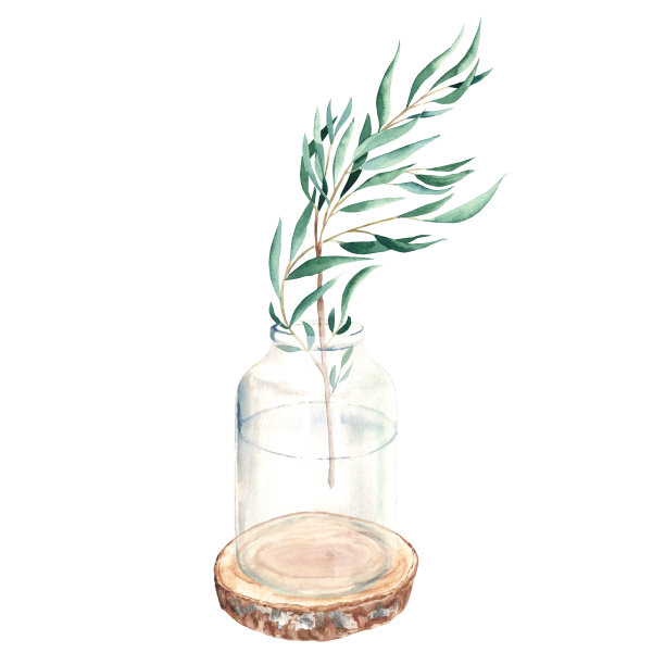 桉树枝、柳树，在花瓶、坛子上用圆木锯锯开。水彩手绘植物插图孤立的白色背景。生态简约风格的贺卡，海报，纺织品印花。图片下载