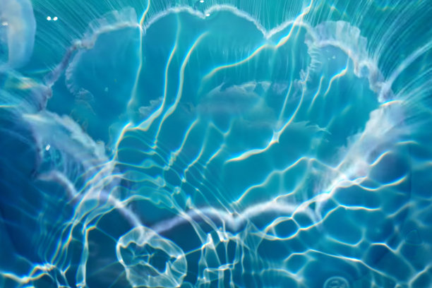 离焦模糊透明蓝色颜色清晰平静的水面纹理与飞溅和气泡。潮流抽象的自然背景。水波在阳光下复制空间。蓝色水彩闪光图片下载