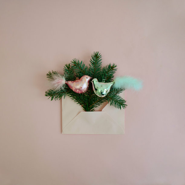 粉色圣诞鸟图片下载