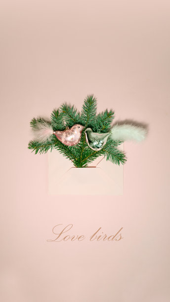 圣诞恋鸟图片下载