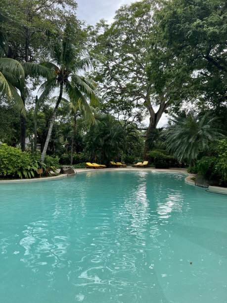 哥斯达黎加热带花园的室外游泳池图片下载