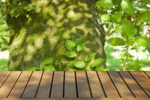 木桌与森林散景背景图片下载