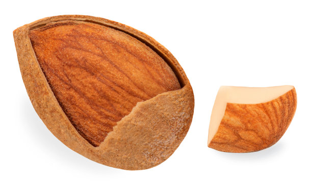 白色背景上的杏仁。杏仁坚果收藏图片下载