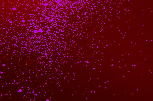节日背景在洋红色的阴影与紫色的火花。图片下载