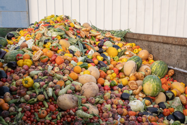 过期蔬菜生物垃圾，大型容器中的有机混合物图片下载