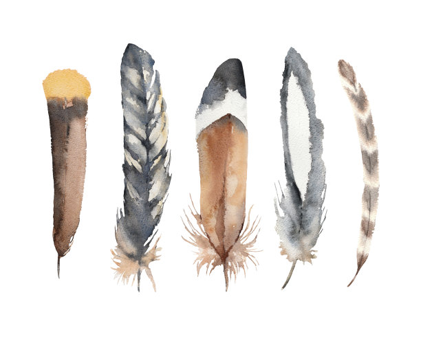 彩色的鸟羽毛。水彩。手绘插图。图片下载