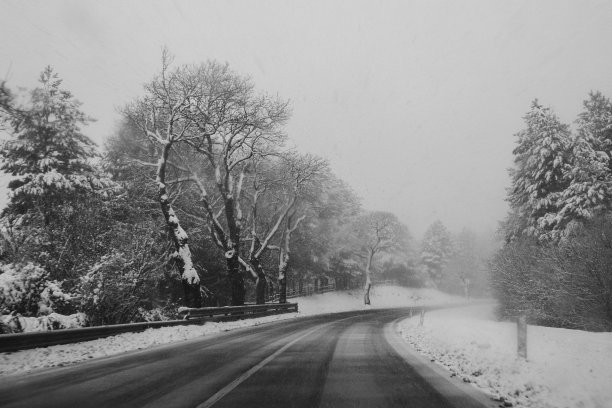 冬天开车:在有雪的森林道路上图片下载