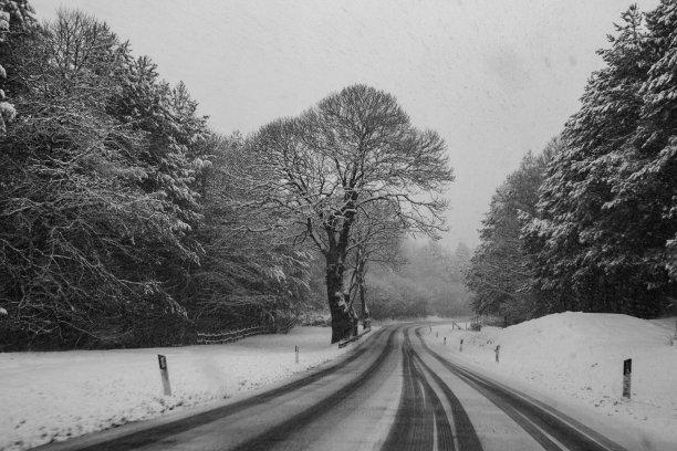 冬天开车:在有雪的森林道路上图片下载