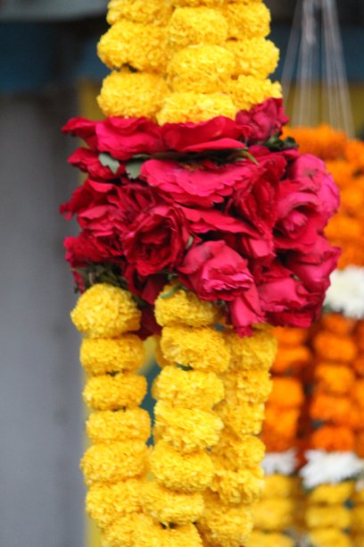 一束花图片下载