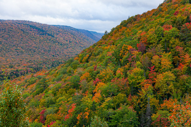 秋天的颜色图片下载