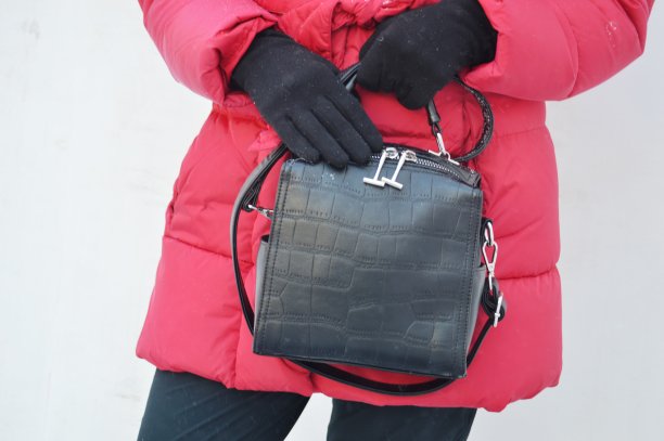 带手提包的女孩图片下载