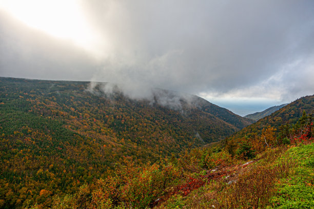 秋天的颜色图片下载