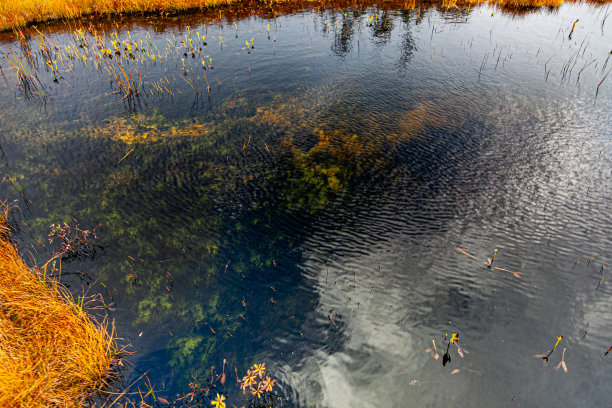 秋天的颜色图片下载