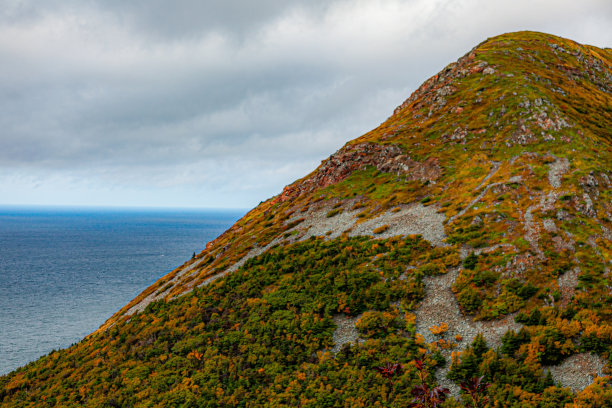 秋天的颜色图片下载