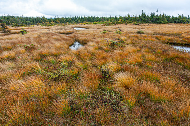 秋天的颜色图片下载