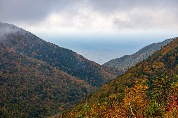 秋天的颜色图片下载