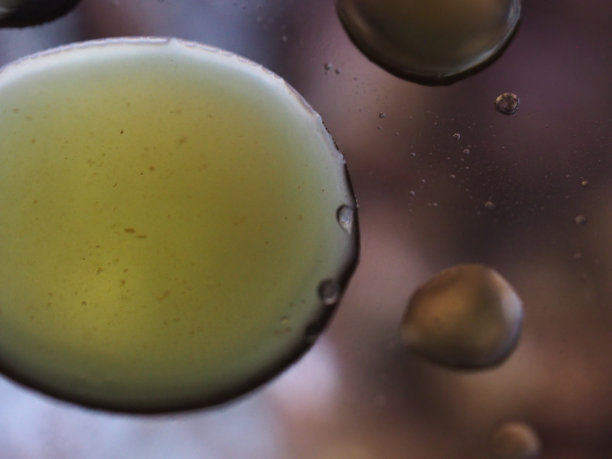 神奇的肥皂泡似乎是我们星球的神奇颜色图片下载